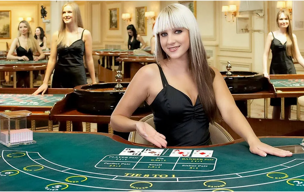 Antarmuka permainan meja live dengan tampilan dealer
